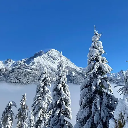 Apartment Kleinbergsonne *