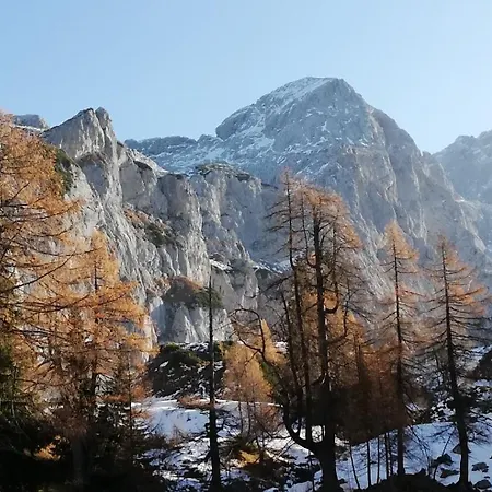 Kleinbergsonne *