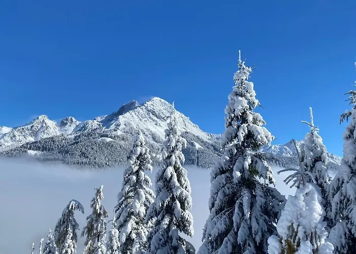 Apartament Kleinbergsonne *