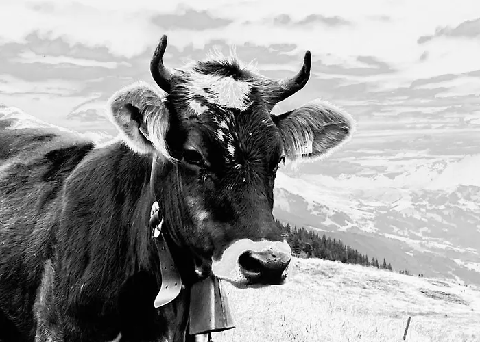 Kleinbergsonne Διαμέρισμα Filzmoos