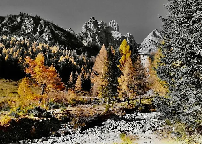 Kleinbergsonne Apartament