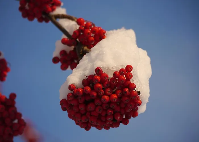 Διαμέρισμα Kleinbergsonne *